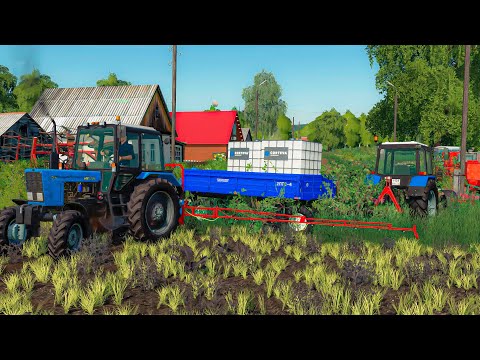 Видео: ОПРЫСКИВАВАЕМ ПОЛЯ С ДРУГОМ НА БЕЛОРУСАХ! FARMING SIMULATOR-19