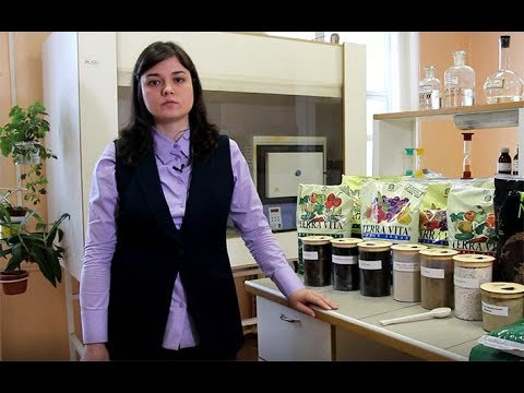 Видео: Как выбрать грунт для рассады