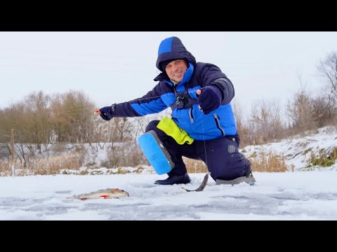 Видео: І ніяка погода не остановить, я знову на льоду, охота за горбачами! Рибалка на балансири