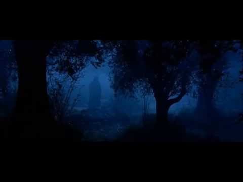 Видео: Олег Скобля Когда Ты шел...