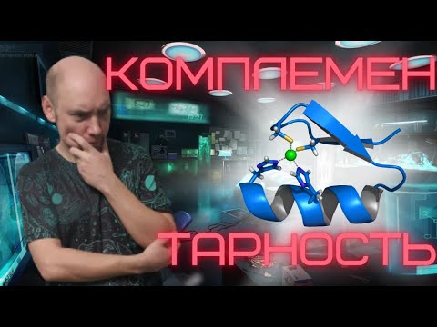 Видео: Что такое комплементарность? Душкин объяснит