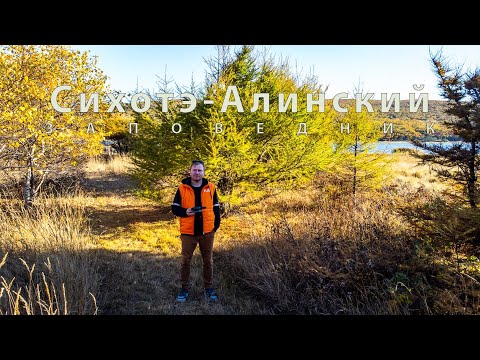 Видео: Сихотэ-Алинский заповедник| Тропа тигров| тропа Мыс Северный| тропа Озеро Благодатное|