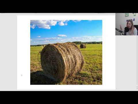 Видео: Прогноз на месяц Водной Лошади