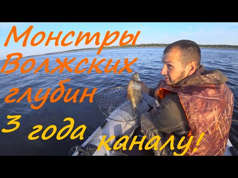 Видео: Ловля на кольцо. День крупного леща. Огромные обитатели волжских глубин. День рождения канала