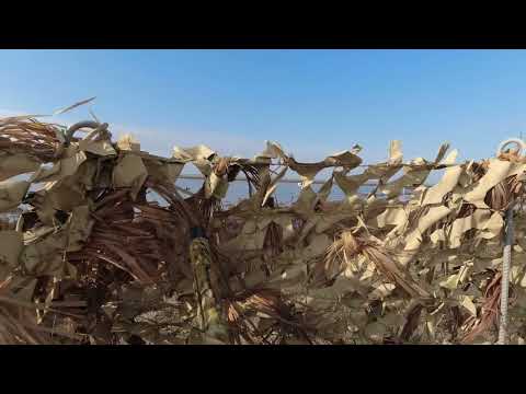 Видео: Закрытие охоты на утку 2023