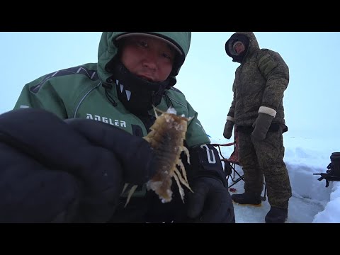 Видео: РЫБАЛКА В ЛеДОВИТОМ ОКЕАНЕ!!! Саскылах! Якутия