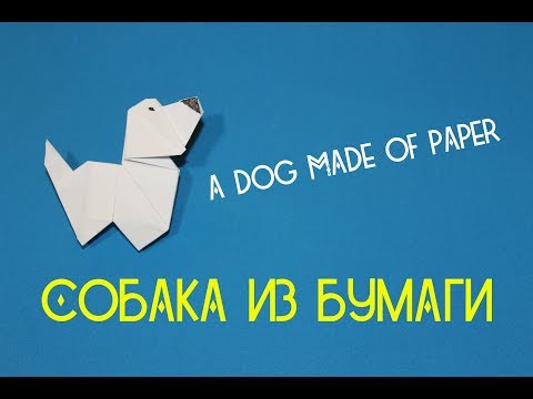 Видео: Собака из бумаги  A dog made of paper ( Edwin Corrie )