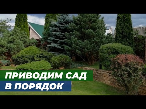 Видео: Работа на участке через 12 лет. Обрезка растений.