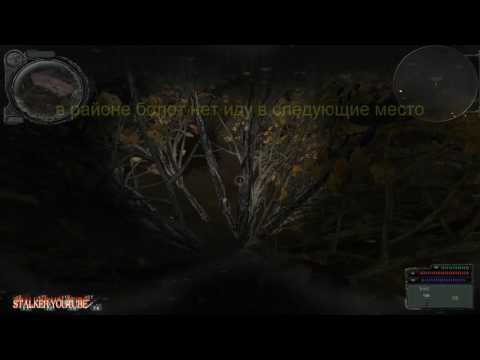 Видео: Сталкер народный гибрид, где искать тайник Коллекционера в одном из трех мест на Янтаре