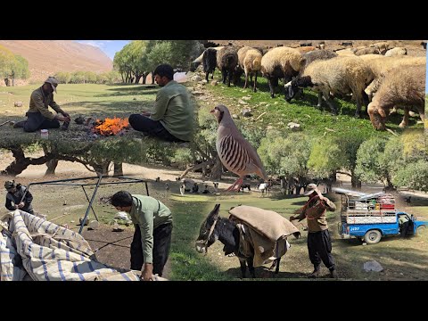 Видео: Кочевая жизнь в диких горах ⛰️ | Долгие путешествия по нетронутой природе 🌿