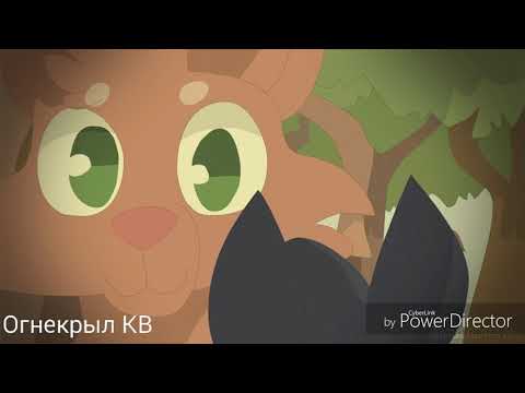 Видео: {Коты-Воители}||▪□Огнезвезд и Пепелица□▪||[Она тебя не любит]||~Заказ~