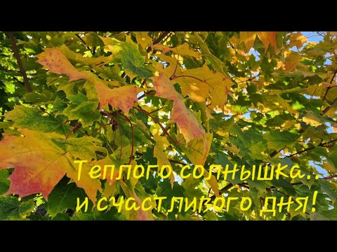 Видео: ЗАВТРАК С ОКСАНОЙ,ВСЕМ ПРИЯТНОГО АППЕТИТА.  12 СЕНТЯБРЯ 2024г