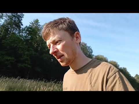 Видео: Слаг 2.6г в калибре 5.5мм стрельба по яблокам.