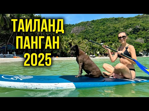 Видео: Таиланд, ПАНГАН - Травяная БАНЯ 🌿 Света МОЛОДИТСЯ, уже не БАБКА? Много ЕДЫ, ЦЕНЫ 2025, Вот ЭТО ВЛОГ