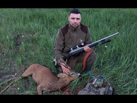 Видео: Охота на косулю. Добыл ТРОФЕЙНОГО самца косули с LA 102 308win