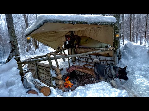 Видео: 3-дневный ЗИМНИЙ КЕМПИНГ в Blizzard с моей собакой.  -12° ВЫЖИВАНИЕ В ДИКОЙ глуши. Метель Бушкрафт