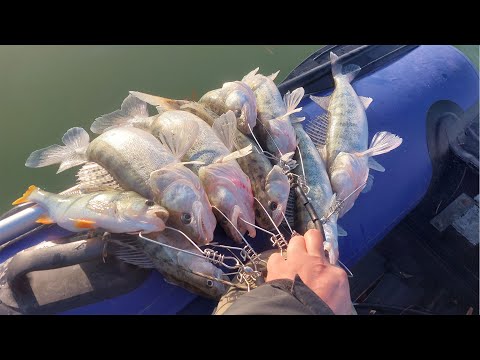 Видео: УДАЧНАЯ РЫБАЛКА  В КРАЙНИЙ ТЕПЛЫЙ ДЕНЬ! СУДАК НА ДЖИК  КАРАСЬ НА ПОПЛАВОК