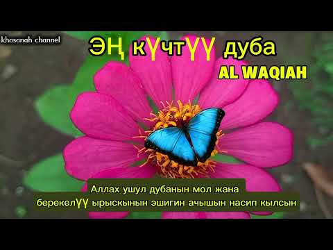 Видео: Ризкты ачкан Куран сүрөсү — Ал-Вакыа менен береке тап!