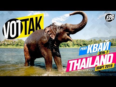 Видео: ПАТТАЙЯ. САМАЯ ПОПУЛЯРНАЯ ЭКСКУРСИЯ НА РЕКУ КВАЙ. ДЕНЬ 2. СТОИТ ЛИ ЕХАТЬ?
