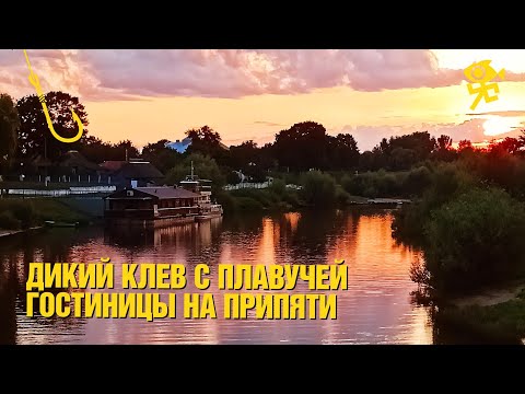 Видео: Отличный клев на спиннинг с борта плавучей гостиницы на Припяти (Полесье).