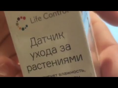 Видео: Умная теплица для бонсай / готовится  проект