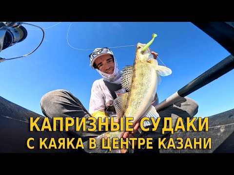 Видео: На каяке в центр города за толстыми судаками! Рыбалка в городе Казань.