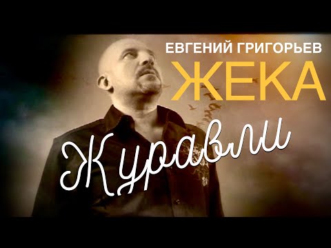 Видео: ЕВГЕНИЙ ГРИГОРЬЕВ (ЖЕКА) "ЖУРАВЛИ"