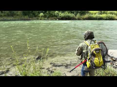 Видео: #ХэрмэлЗагасчид 🌳 Зуны архиваас 🎣