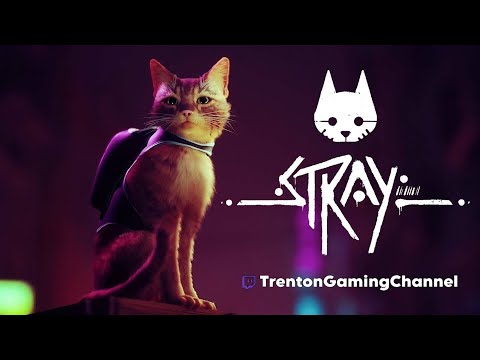 Видео: Stray #4 История о том, как Trenton дропнула Stray (18.11.2025)