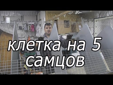 Видео: КАК СДЕЛАТЬ КЛЕТКУ ДЛЯ САМЦОВ, клетка из сетки.