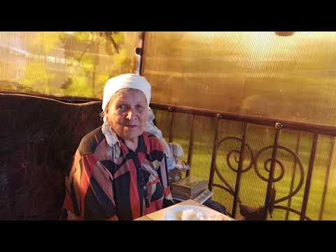 Видео: Деменция у мамы . Весело мы живём.