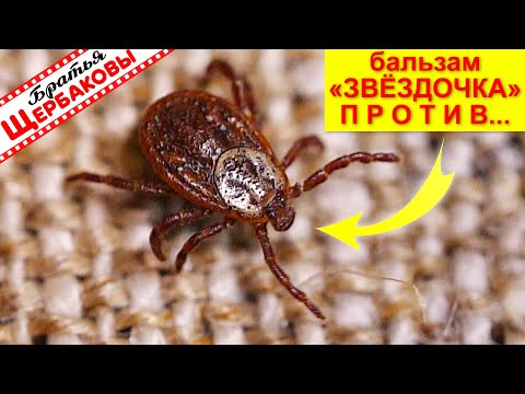 Видео: Бальзам ЗВЕЗДОЧКА против КЛЕЩЕЙ! Круто! Это тоже работает!