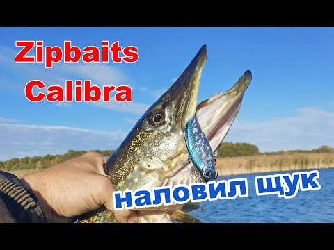 Видео: ЭТОТ РАТТЛИН ОДИН ИЗ ЛУЧШИХ ПО ОСЕННЕЙ ЩУКЕ!