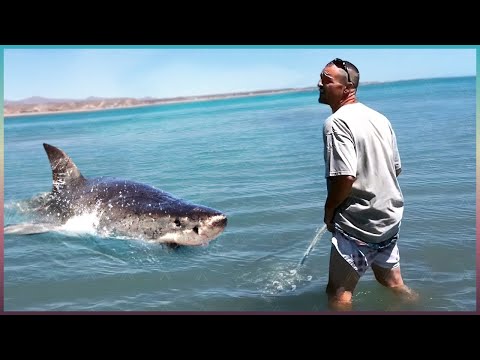 Видео: МГНОВЕННАЯ КАРМА, Снятая На Камеру!