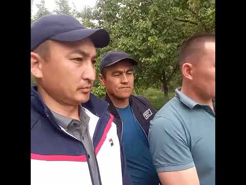 Видео: 31 мая 2023 г.