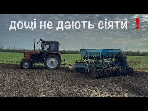 Видео: Дощі не дають посіятися❗️Сіємо пшеницю по пшениці ,стерньова сівалка виручає 💪🏻