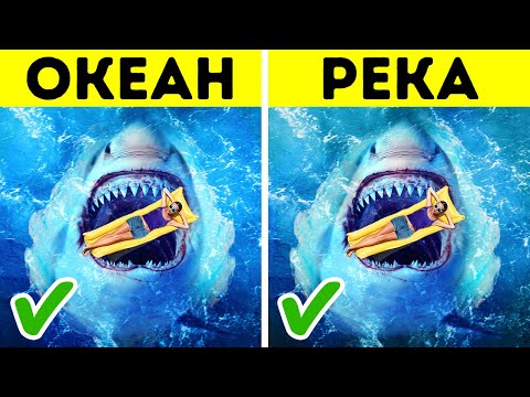 Видео: 8 вещей, которые акулы делают для вас, а вы и не знаете