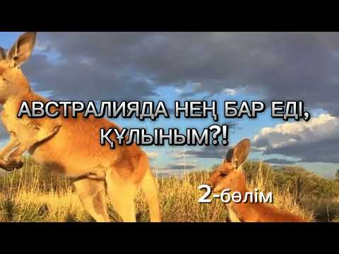 Видео: Австралияда нең бар еді, құлыным?!. Шым-шытырық оқиғалы хикая. 2-бөлім