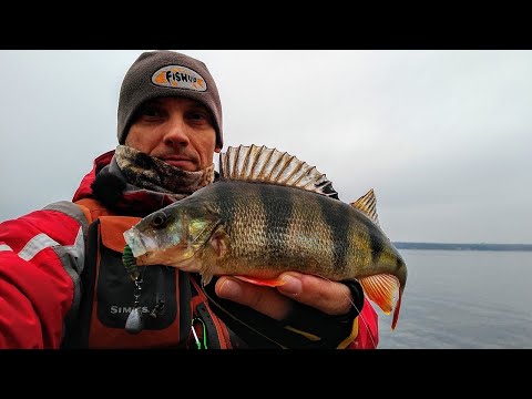 Видео: ЛОВЛЯ ОКУНЯ в ЯНВАРЕ на днепровских просторах.