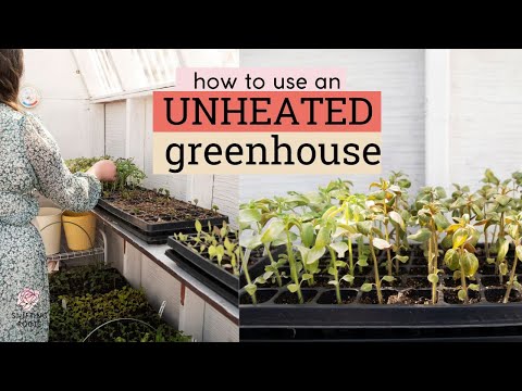 Видео: Все, что вы хотели знать об использовании неотапливаемой теплицы