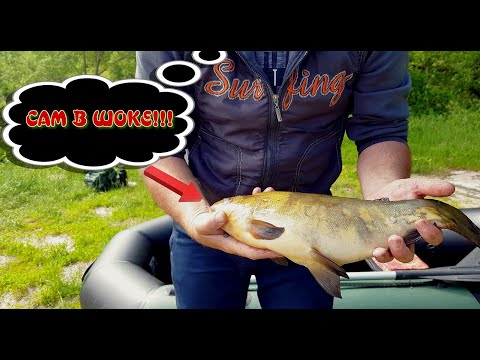 Видео: ЛИНЬ НА БОКОВОЙ КИВОК!!! ДИКИЙ ВОДОЕМ МЕНЯ ПОРАДОВАЛ!!!