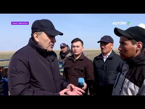 Видео: Ауыл аманаты Ойыл ауданы