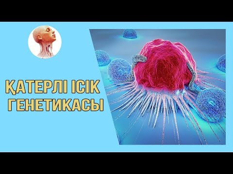 Видео: ҚАТЕРЛІ ІСІК ГЕНЕТИКАСЫ/ADALAM