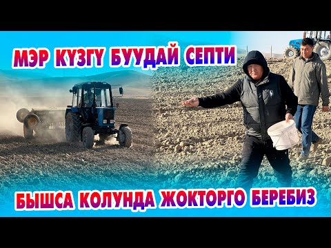Видео: Мэр: Биз САТПАЙБЫЗ колунда жокторго таратабыз