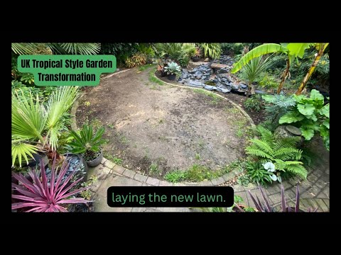 Видео: Преображение тропического сада в Великобритании. Часть 23.