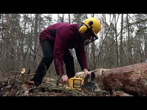 Видео: РЕАЛЬНЫЙ ТЕСТ DeWALT DCM575X1. Аккумуляторная пила с шиной Oregon и цепью STIHL