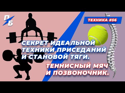 Видео: Секрет идеальной техники приседаний и становой тяги. Теннисный мяч и позвоночник