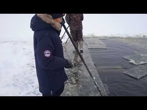 Видео: муус ылыыта