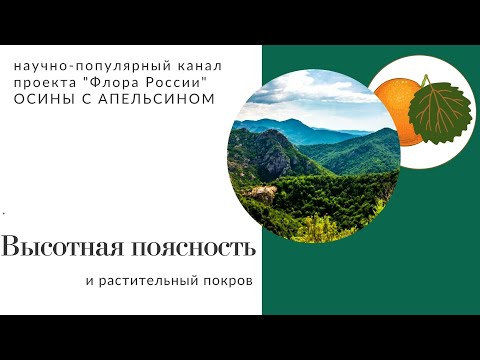 Видео: Высотная поясность: как меняется растительность при подъеме в гору?