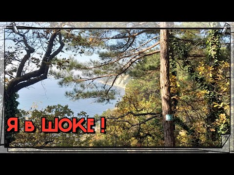 Видео: Большая прибавка🥹 так делать НЕЛЬЗЯ ! Больше это не проходит даром ,как раньше.